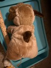 Vintage Big Eyebrows Brown Plushie Stuffed Animal Dog — photo 3