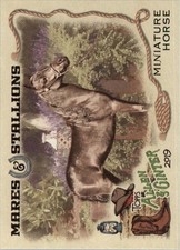 2019 Topps Allen and Ginter Mares and Stallions #MS8 Miniature Horse - NM-MT