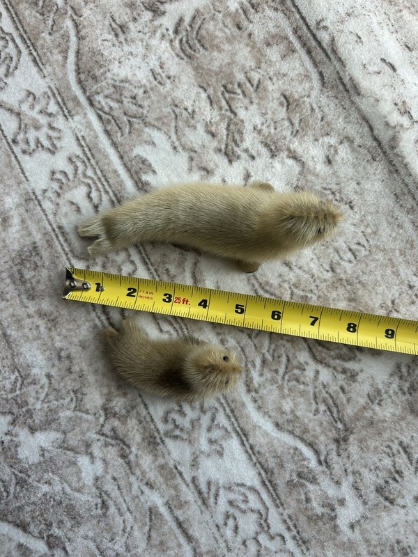 2-Vintage Souvenir Toy Stuffed Miniature Seal Pups Figure Figurine Real Fur