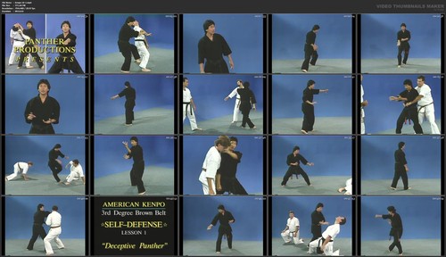 American Kenpo Self-Defense starring Jody Sasaki (21 DVD Set) - Picture 9 of 10