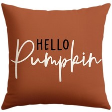 Hello Pumpkin Throw Pillow Cover 24x24 Inch Fall 24" x 24" Pack of 1 Rust