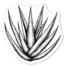 Aufkleber Sticker 'Aloe Vera Pflanze' (DW052585)