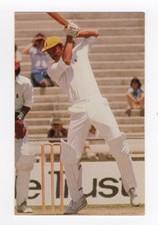Ardmona Australia cricket card 1978/79. Australia - Martin Kent