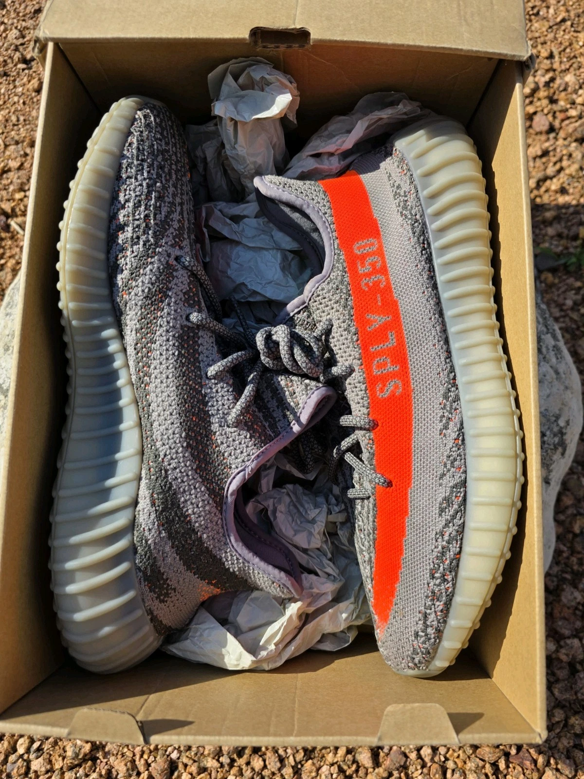 Adidas Yeezy Boost 350 V2 Beluga