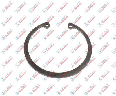 Vickers PVH131, PVH141 Sprengring 135066