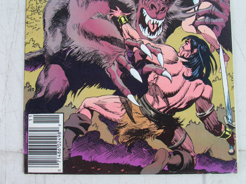 Conan the Barbarian #224 Nov. 1989 Marvel Comics Newsstand Edition - Picture 3 of 7