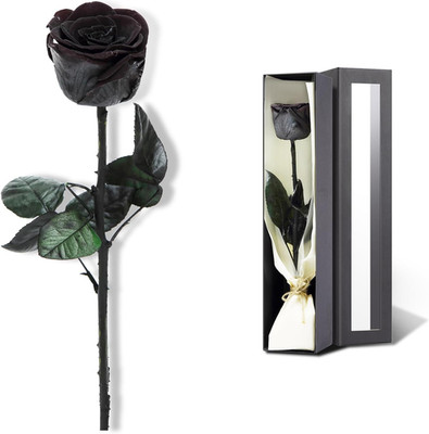 Preserved Rose, Preserved Flowers for Delivery Prime, Single Rose Flower Gifts f