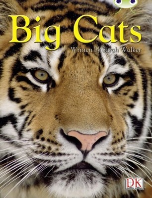 BC NF BROWN B3B BIG CATS by WALKER, SARAH Paperback Self Help Business