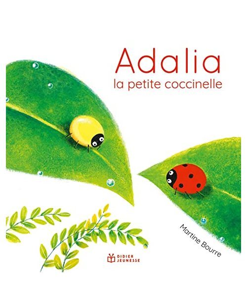 Adalia, la petite coccinelle