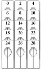 45 Rectangular Size 0 - 28 Divider Hangrail Variety Pack 5” x 2  Womens Dividers