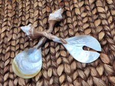 NEW Seashell Serving Set Mother Pearl Handmade Beach Wedding Party Boat Seaside