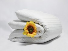 Duvet Organic 100 Cotton Sateen Natural Ivory Stripe Comforter Cover USA Hypo