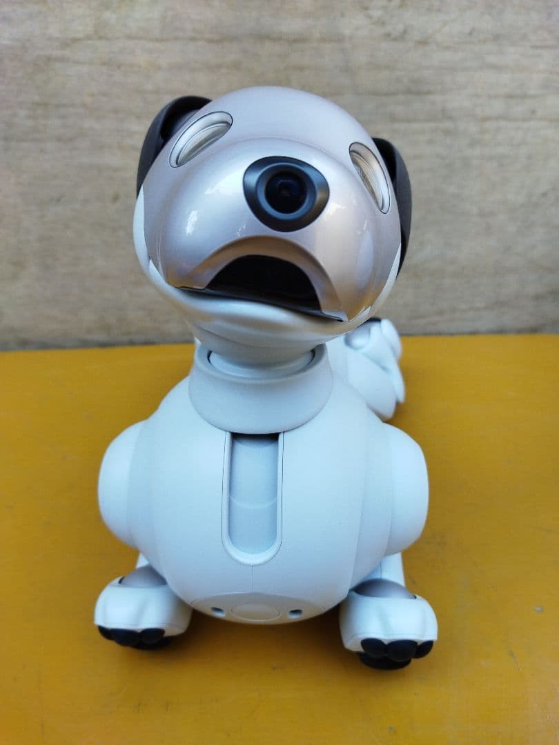 Sony aibo ERS-1000 Pet Robot Dog Tested Working Used Japan with