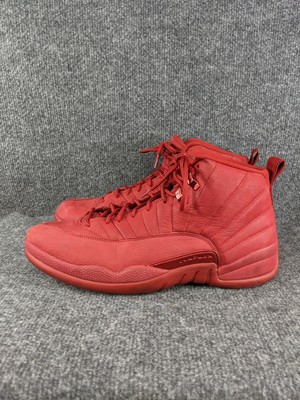 jordan 12s ebay