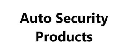 AUTO SECURITY PRODUCTS D42211 ASP FORD TAURUS DR SERV PKG RH