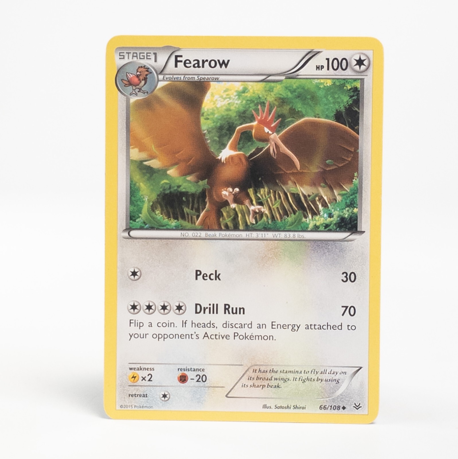 Fearow 66/108 Pokemon XY - Roaring Skies Uncommon NM