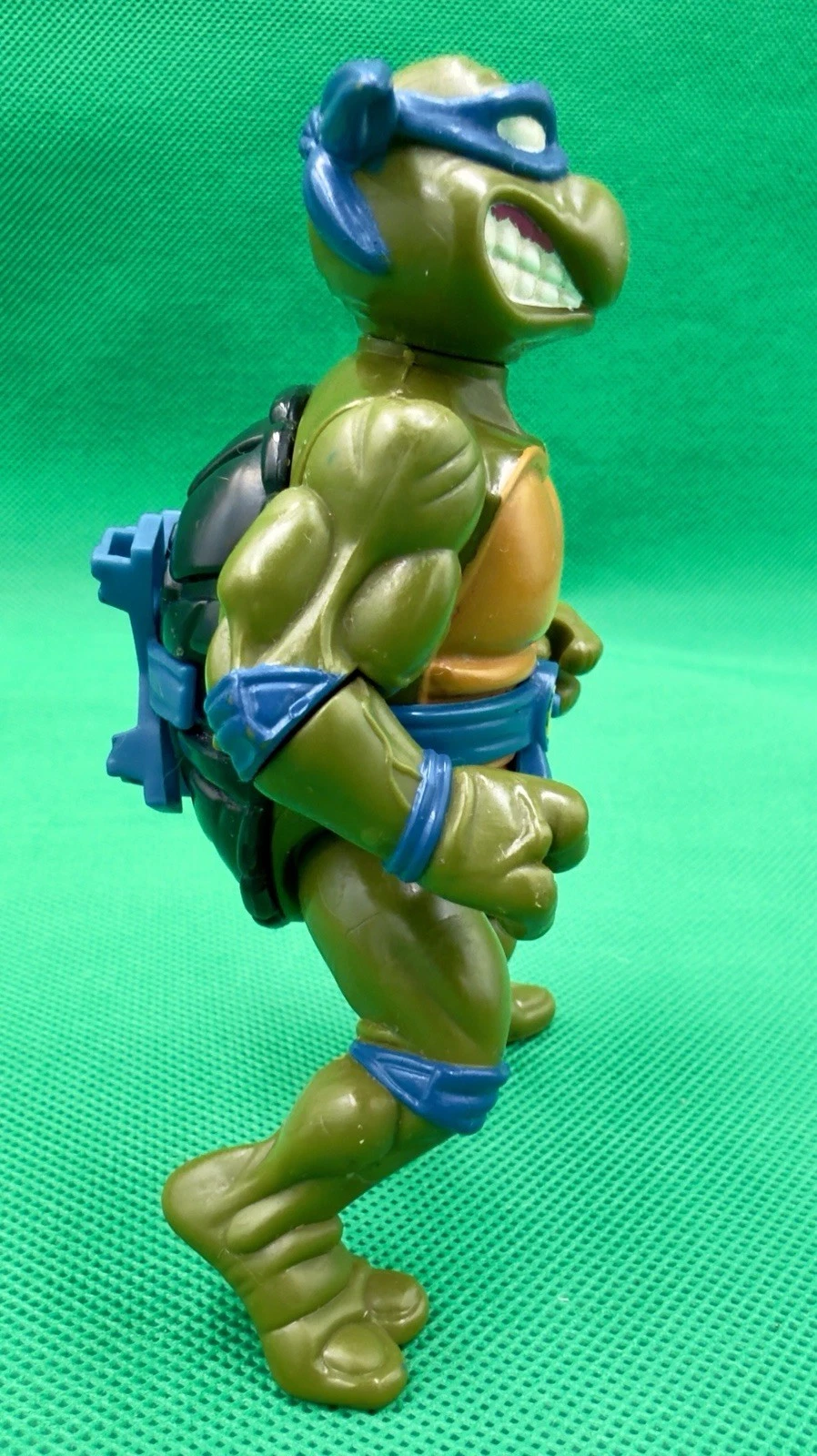 Storage Shell Leonardo photo 5