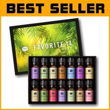Favorite Fragrance Oil Collection - 14 Scents