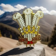 Prince of Wales Feathers Gold Toned White Enamel Lapel Badge. Q11 65