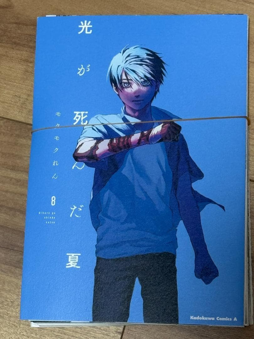 The Summer Hikaru Died Japanese Ver Complete Full Comics Manga Set
