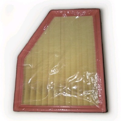 MANN-FILTER C28038 Filters - Air Filter