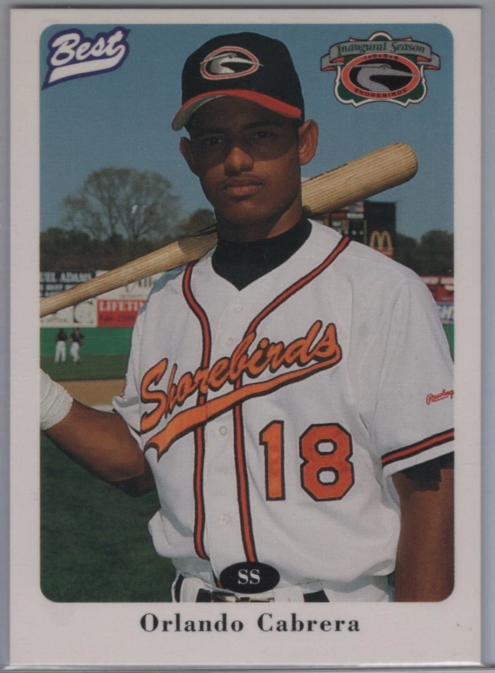 Best Delmarva Shorebirds 1996 [Barrett] [Cabrera] Foto 3 de 3