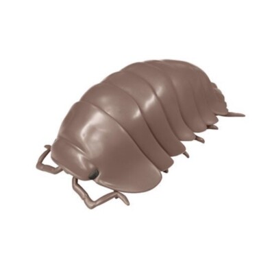 その他 BANDAI DANGO MUSHI LLIC Bandai Dango Mushi Pill Bug Insect Bug Figure Brown Colour | eBay