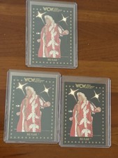 Ric Flair WCW Card Lot