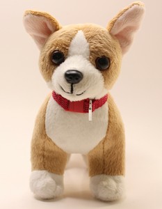 our generation corgi