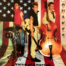 The Quakes Voice Of America Lp New