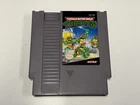 Teenage Mutant Ninja Turtles NES (Nintendo Entertainment System, 1989) Tested