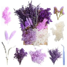 Real Dried Flowers Natural Dry Flowers Mixed Colors Dried Leaf Bouquet for DI...