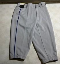 Mizuno Performance Gray Royal Blue Piped Short Baseball Pants Adult M New Tags