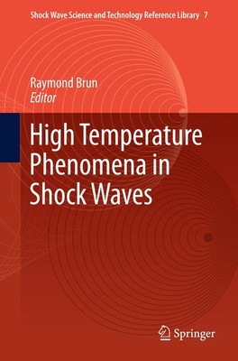 Raymond Brun | High Temperature Phenomena in Shock Waves | Taschenbuch (2014)