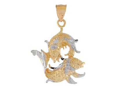 JackAni 10k oder 14k Bicolor Gold Schillernde Fische Sternzeichen Anhänger