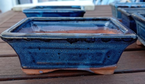 Blue Rectangular Glazed Bonsai pots 15 cm x 10 cm without drip tray - Picture 3 of 7