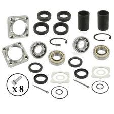 Rear IRS Bearing Kit W/Seals, Clips, Spacers & End Caps Vw Bug / Ghia 1968-79