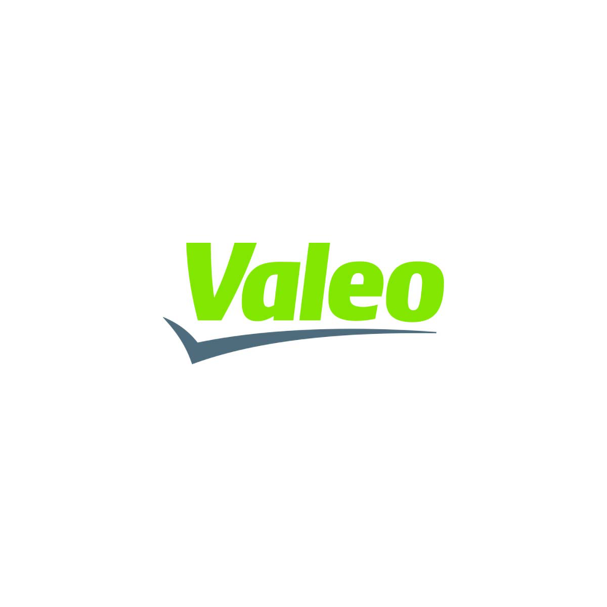 Spazzole tergicristallo Valeo silencio flat blades VF494 730 + 730 mm 2pz