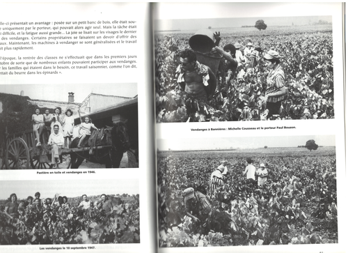 VENDARGUES m'était conté... Général BERTHÉZÈNE Vignes et Oliviers Les Carrières - Imagen 13 de 24