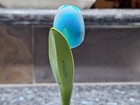 Westerdam, Holland America, Tulip, Wooden Tulip, Wood, Tulip, vase not included — photo 3