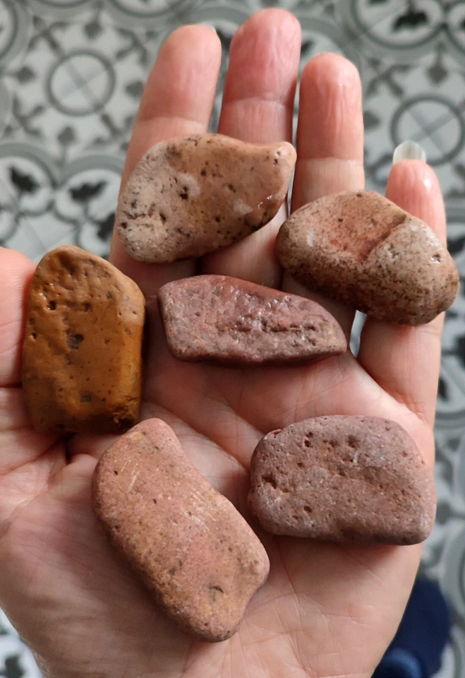 Fissidens Fontanus  Phönix Moos Moss  Geppi Nobilis  Aquarium Nano Cube - Bild 4 von 4