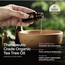 Gya Labs Australian Tea Tree Oil for Skin, Hair, Face & Toenails (0.34 fl oz)