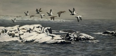 DOWN EAST EIDERS  - Decoy Canvas Edition Print by  Noel Dunn -Eider Duck  #9/100