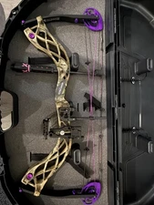 bowtech carbon rose compound bow 