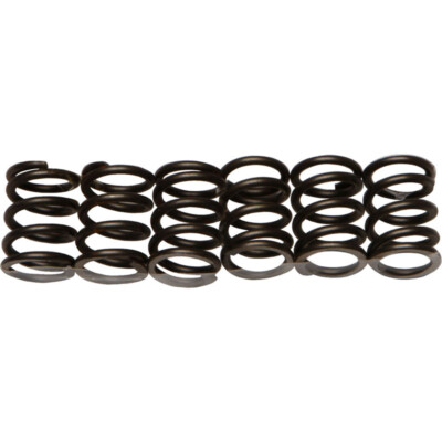 EBC  Clutch Springs Csk19 Honda Cb550sc Nighthawk 1983- Kawasaki Kd 80 1980