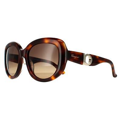 Salvatore Ferragamo Sunglasses SF727S 214 Tortoise Brown