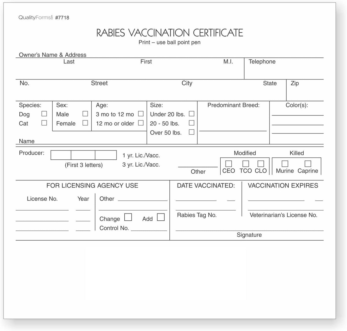 What Does a Health Certificate for a Cat Look Like: Essential Guide