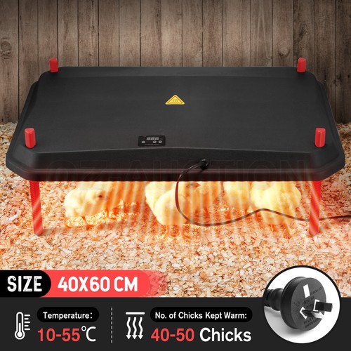 Chick Brooder Heating Plate Warmer Chicken Coop Brooding Heater Poultry Duckling - Picture 50 of 61