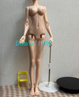 1/3 BJD Doll Dollshe A46 Girl Body - Only Body (No head)+ DHL