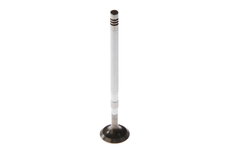 Fits FRECCIA 6636/SCR Intake Valve 6636/SCR Intake valve (22,45x6x109 ⭐UK Stock⭐